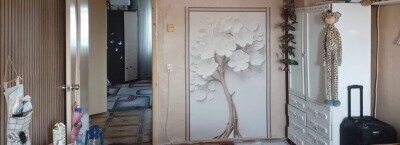 дом г Бородино Школьная улица, 9 фото 6