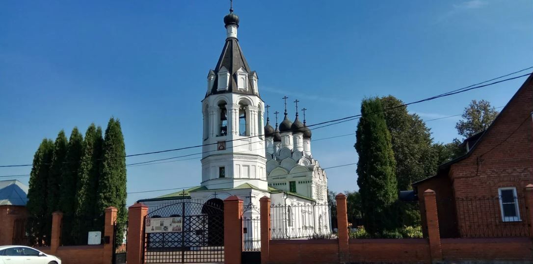 земля г Домодедово мкр Барыбино ул Кирова 38 км, Новокаширское шоссе фото 7