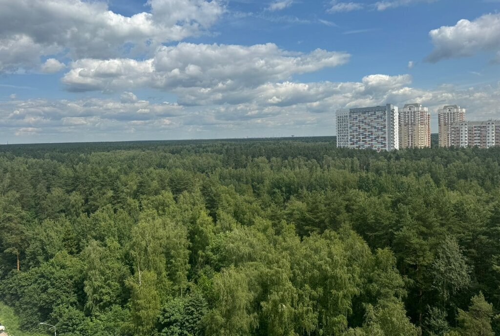 квартира г Балашиха мкр Янтарный пр-д Акуловский 6 Щёлковская фото 10