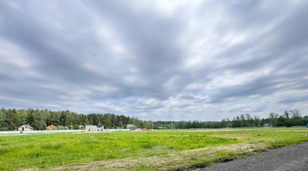 земля городской округ Богородский г Ногинск фото 19