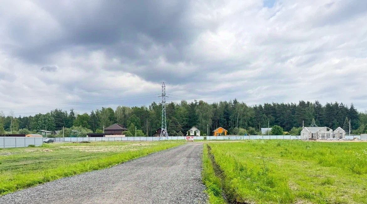 земля городской округ Богородский г Ногинск фото 34