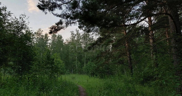 ул Академгородок 7 фото