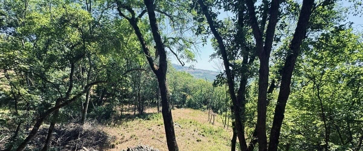 земля г Алушта с Верхняя Кутузовка фото 1