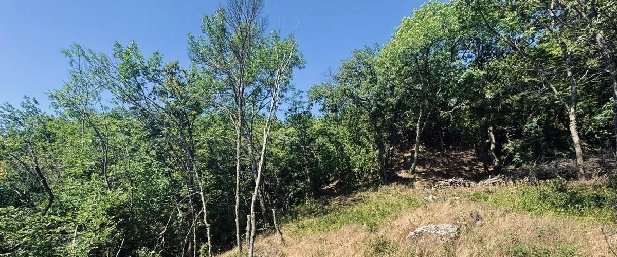 земля г Алушта с Верхняя Кутузовка фото 2