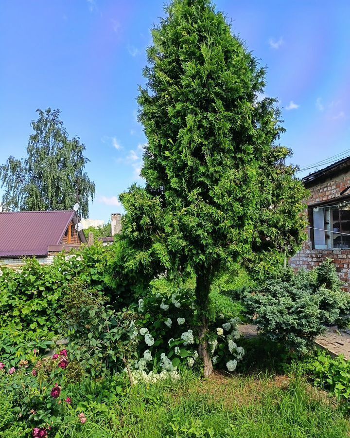 дом г Курск р-н Центральный ул Пирогова 34 фото 4