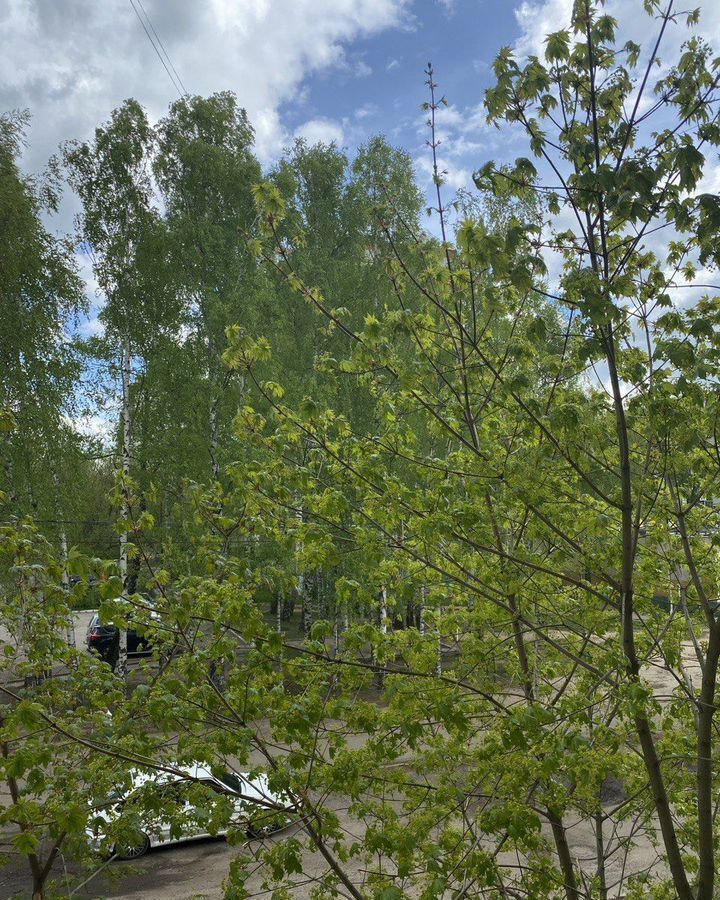 квартира г Воскресенск тер Белоозерский ул 40 лет Октября 4 городской округ Воскресенск, Белоозёрский фото 7