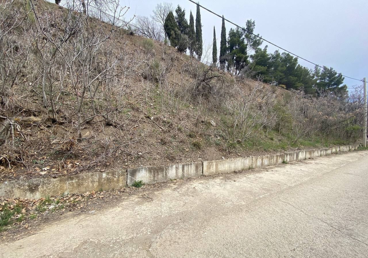 земля г Алушта с Солнечногорское ул Курортная фото 2