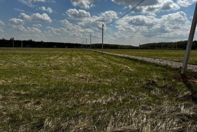 снт Раменье Дмитровский муниципальный округ фото