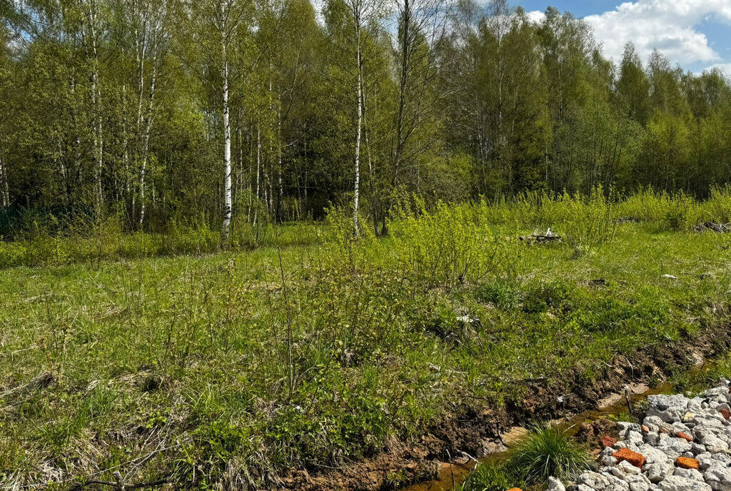 земля г Раменское снт Раменье Дмитровский муниципальный округ фото 1