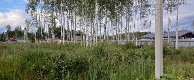 земля ул Сиреневая Мурманское шоссе, 13 км, Всеволожское городское поселение, территория СОСН Раздолье фото