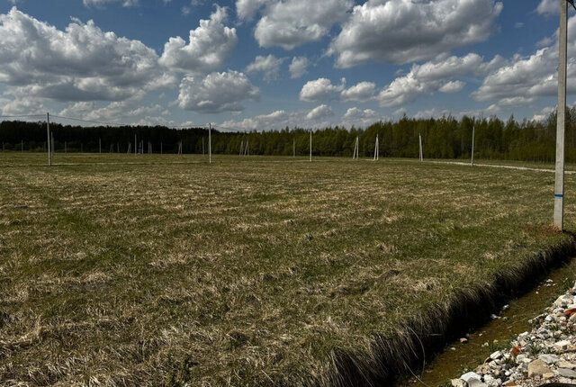 снт Раменье Дмитровский муниципальный округ фото