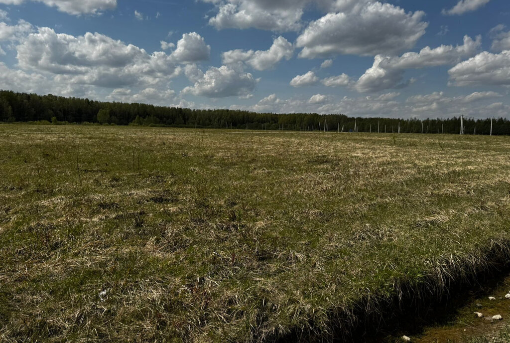 земля г Раменское снт Раменье Дмитровский муниципальный округ фото 2
