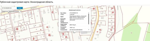 д Большое Рейзино ул Строителей фото