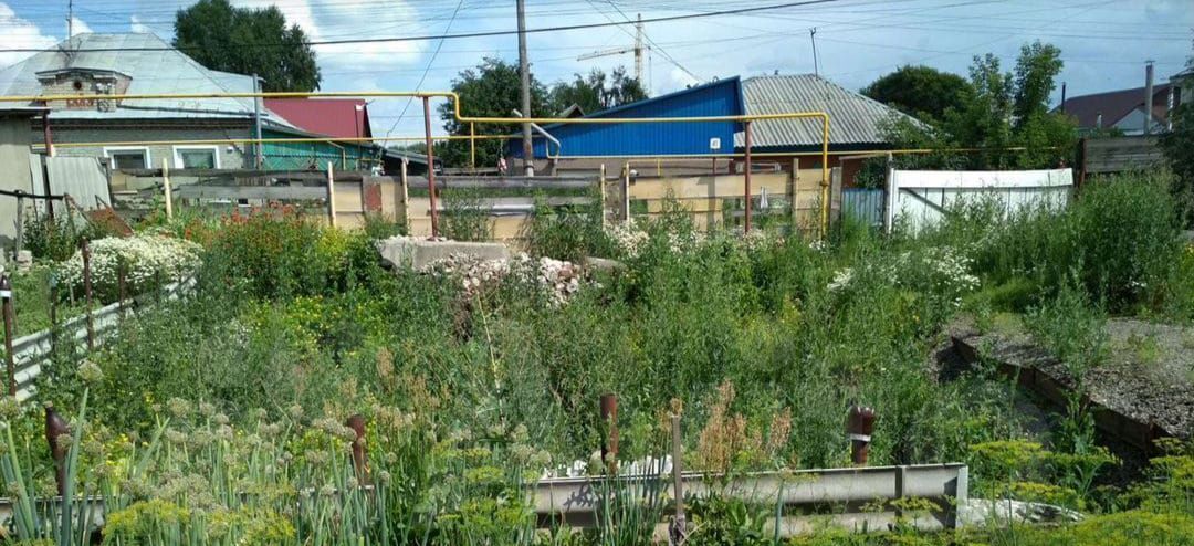 дом г Барнаул р-н Железнодорожный проезд Аграрный 40 фото 3