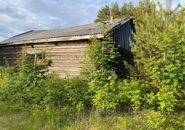 Кестеньгское сельское поселение, Мурманская область, Зеленоборский фото
