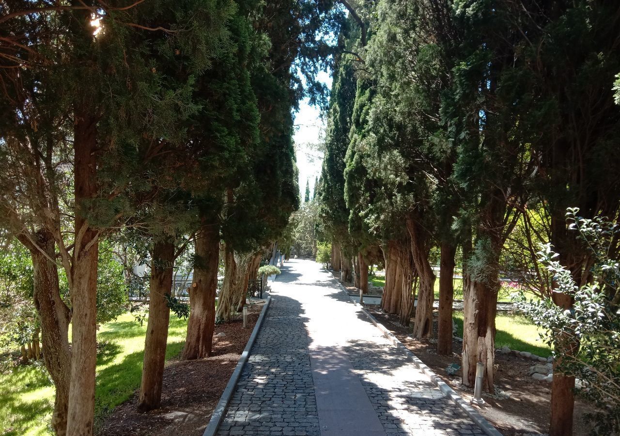 квартира г Ялта пгт Кореиз ш Севастопольское 45е г Алупка фото 22