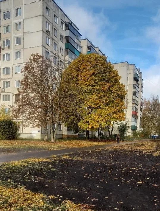 квартира г Курск р-н Центральный Северо-Западный ул Веспремская 3 фото 6