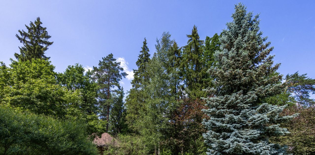 дом г Красногорск мкр Опалиха ул Серебрянка 12 Опалиха фото 10