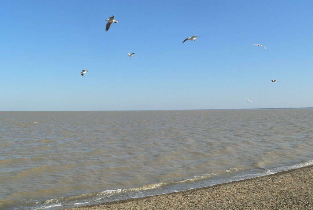 земля р-н Ейский г Ейск пер Береговой 2-ой фото 6