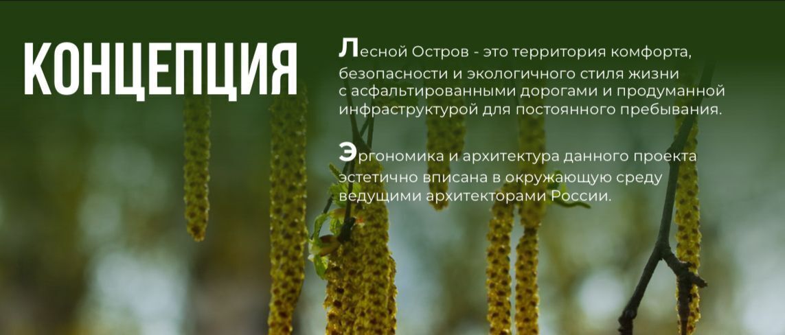 земля г Домодедово д Ивановка Лесной остров кп фото 2
