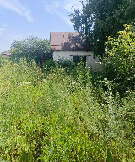 земля г Оренбург СТ Лесные Дачи фото 2
