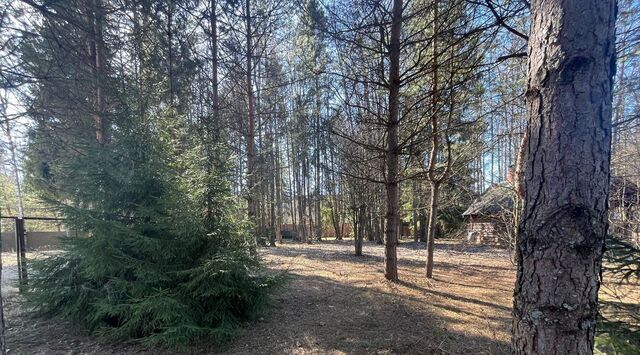 Гранат СНТ, Крёкшино, 2 фото