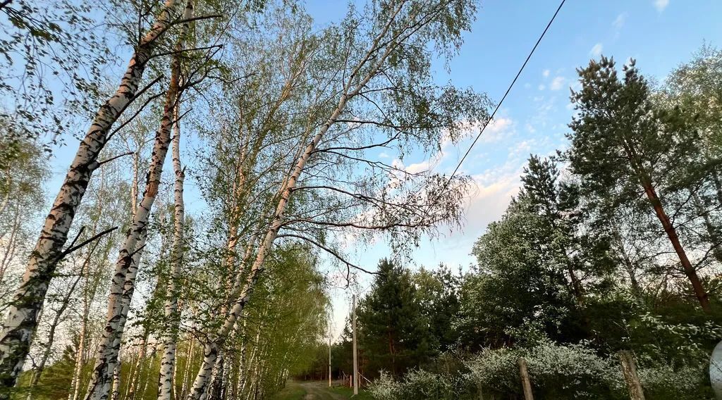 дом г Воронеж р-н Железнодорожный снт Никольское ул Северная 177 фото 11