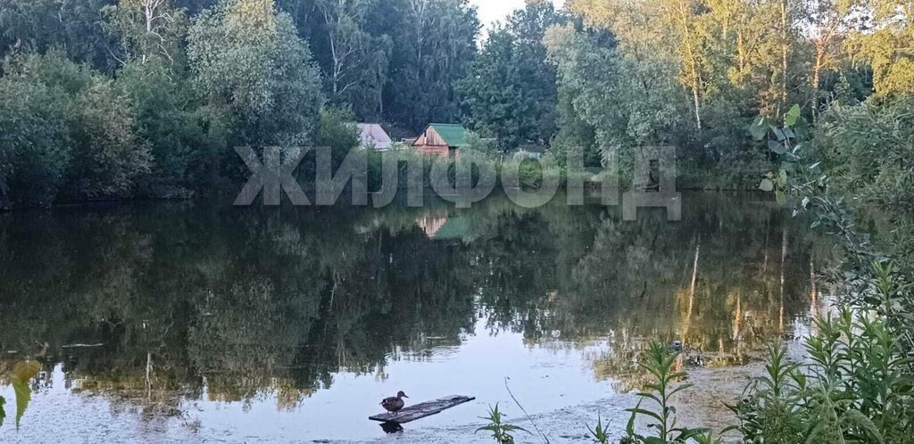 дом г Новосибирск р-н Первомайский НСТ Конструктор фото 6