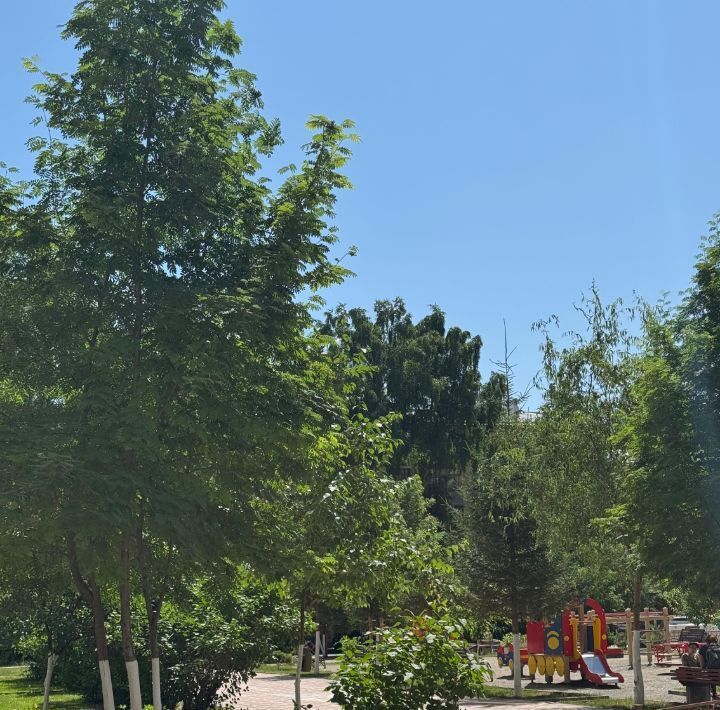 квартира г Новосибирск Гагаринская ул Галущака 17 фото 33