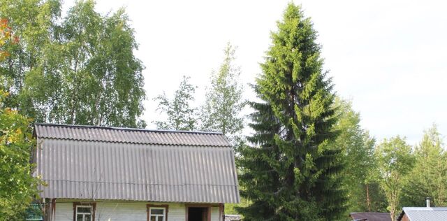 Волживка-2 СНТ, 593 фото