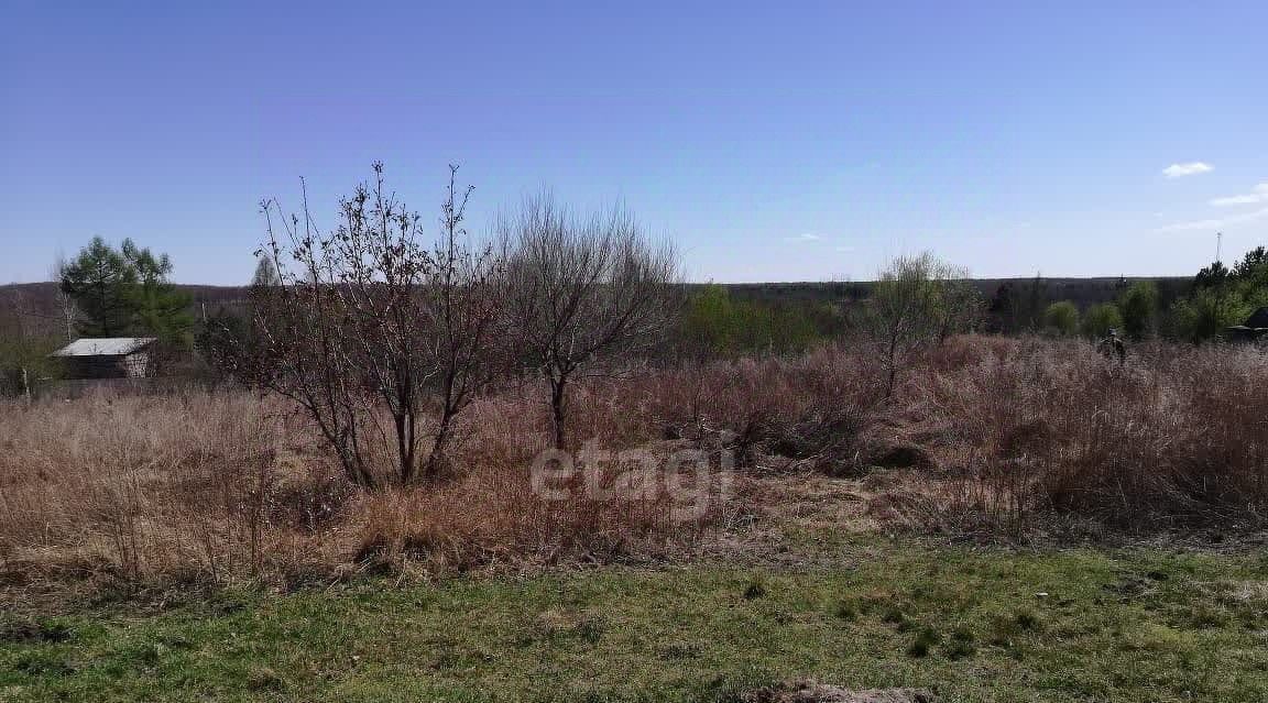 земля г Благовещенск тер Луч Благовещенский район фото 4