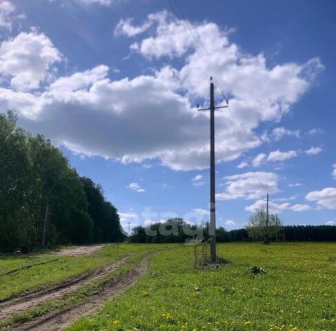 земля с Ивано-Казанка фото
