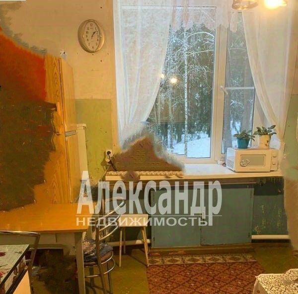 комната г Зеленогорск Курортный тер Красавица 10 фото 9