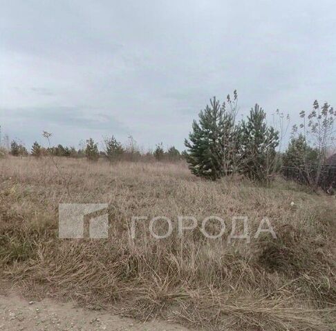 ул Берёзовская 24 фото