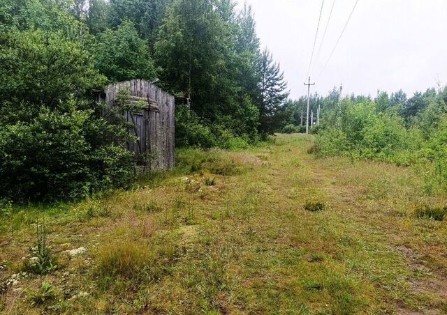 г Новая Ладога Мурманское шоссе, 98 км, Новоладожское городское поселение, мкр-н Малоэтажной застройки фото