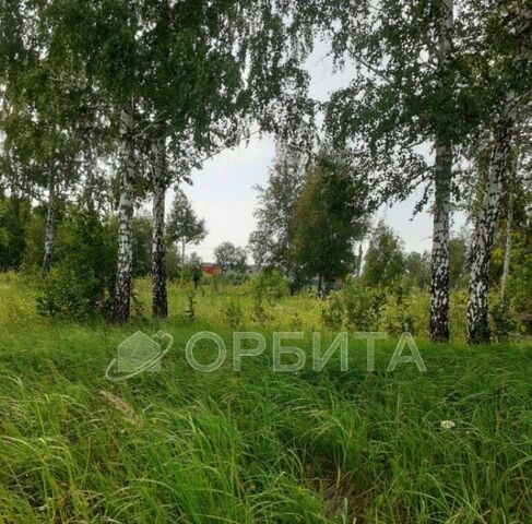 снт Лебедушка СПК фото