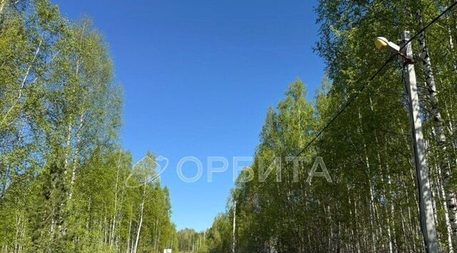 снт Березка фото