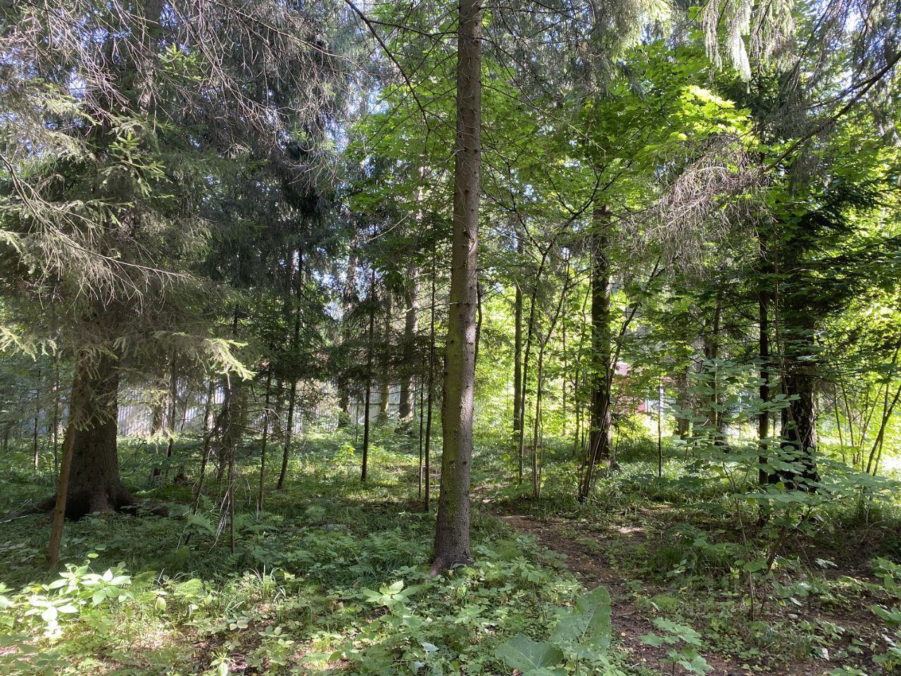 земля г Балашиха снт Радио 254, Дск, 143041, Краснознаменск фото 3