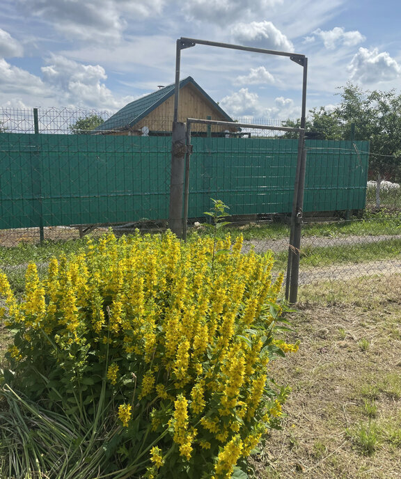 дом г Нижний Новгород СТ Дружба-86 фото 2