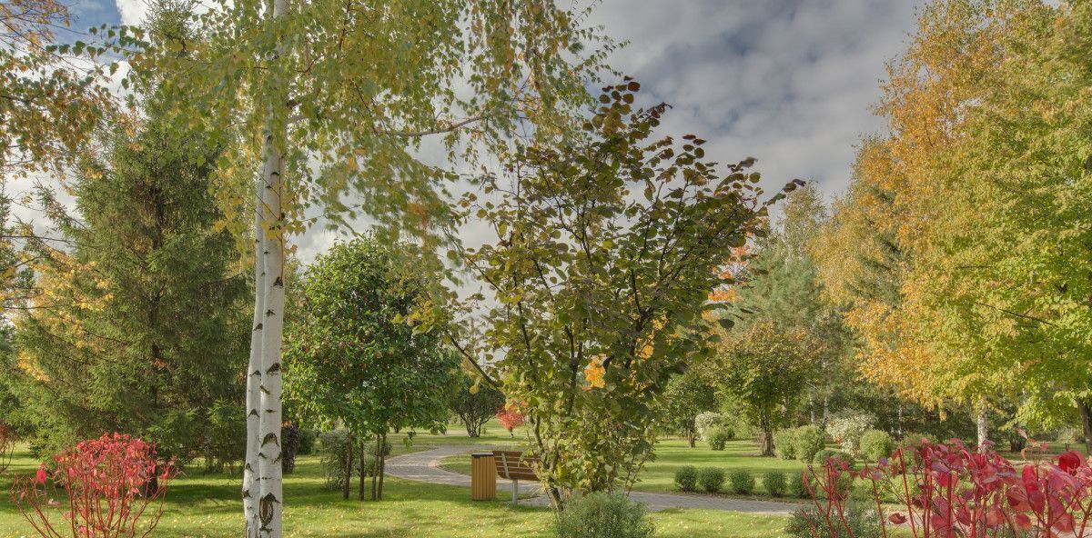 земля г Истра Миллениум Парк кп, Нахабино фото 4