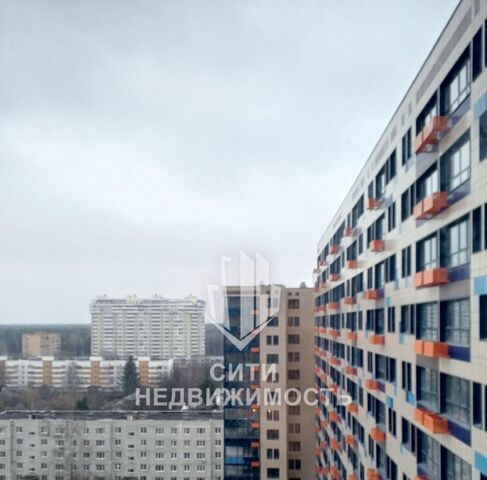 Пушкинский городской округ фото