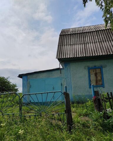 Линево фото