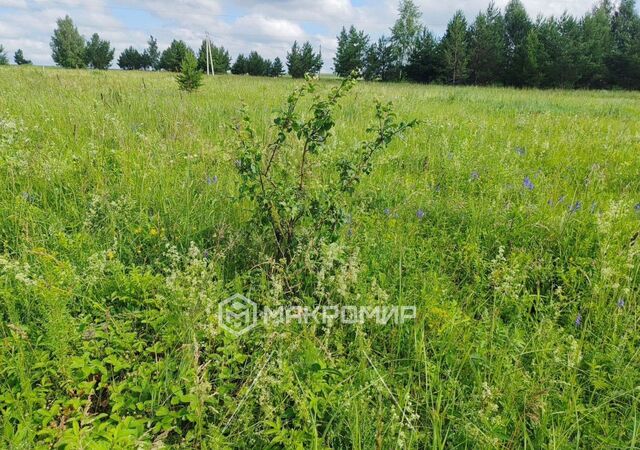 Республика Татарстан Татарстан, Пестречинское сельское поселение фото