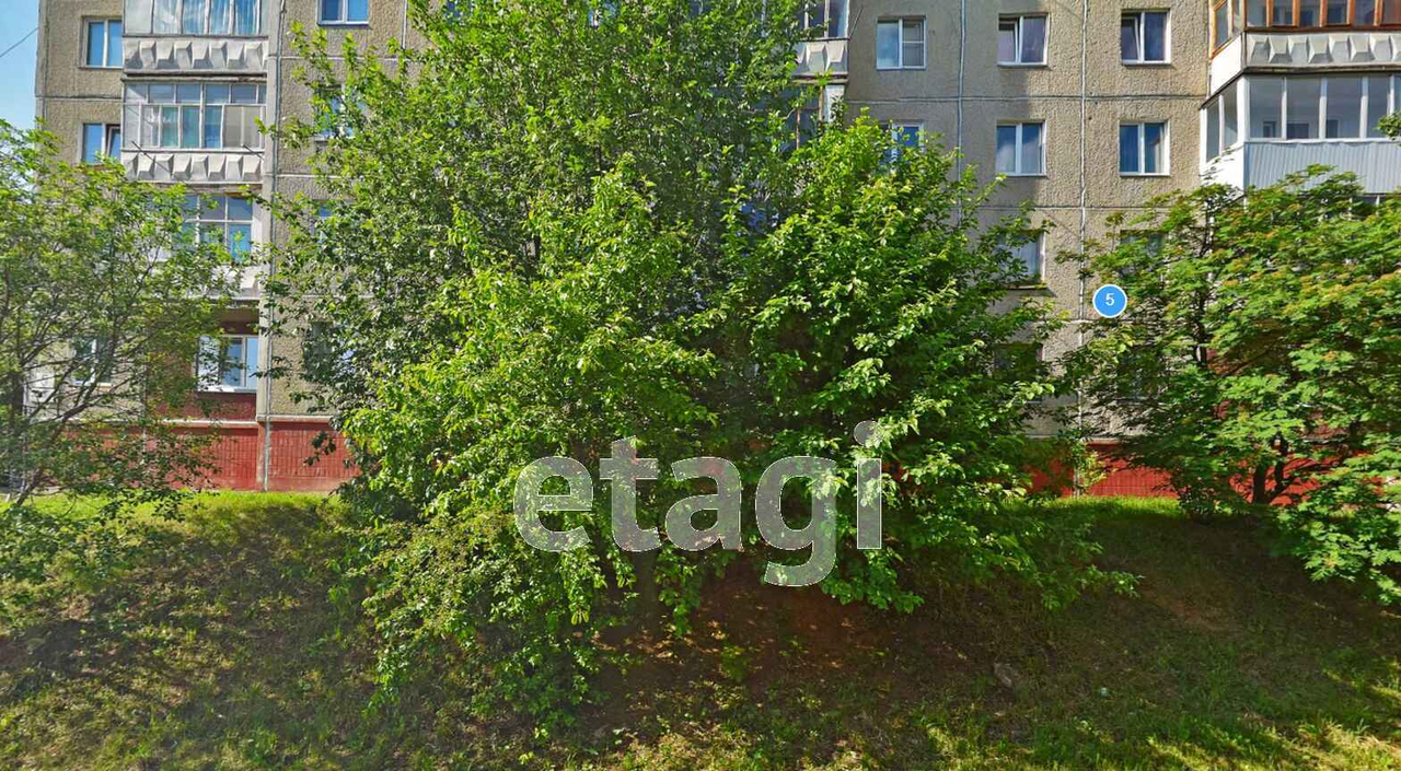 квартира г Златоуст ул Тульская 5 Машзавод фото 24