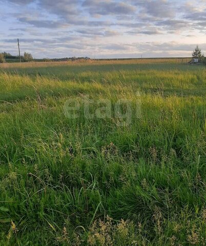 земля с Горяйновка фото