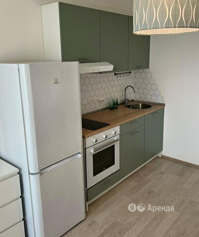 метро Озерки наб Реки Каменки 19к/1 фото