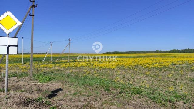 Пешеходный переход, Руза фото