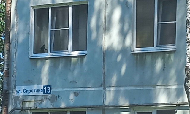 ул Сиротина 13 фото