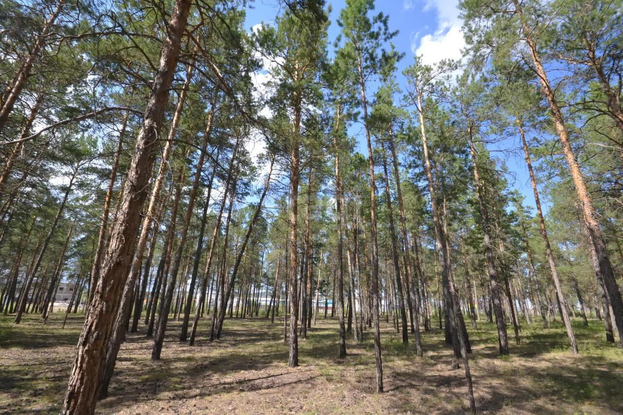 земля г Якутск Объездное шоссе фото 3