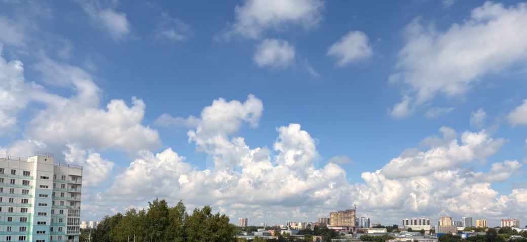 квартира г Новосибирск Золотая Нива ул Плющихинская 2 фото 12